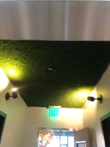 Electrical and Lighting Mendocino Farms
