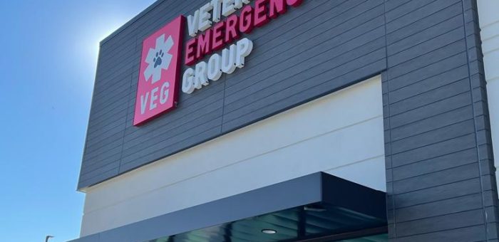 Veterinary Emergency Group